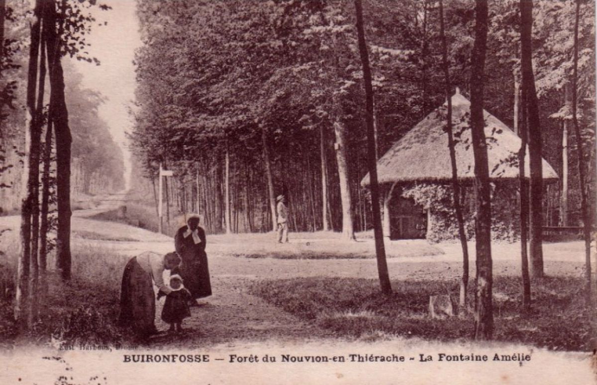 02135 - Buironfosse - Foret du Nouvion en Thierache - La Fontaine Amelie.jpg
